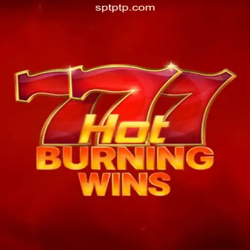 Exploring the Excitement of HotBurningWins: A New Frontier in Online Slots